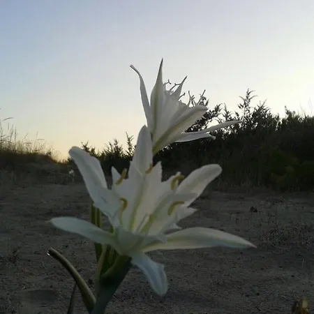 Matera Sea *